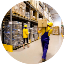 software immex anexo 24 y 31