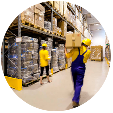 software immex anexo 24 y 31